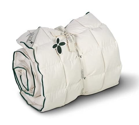 Cocoon Kapok dyne